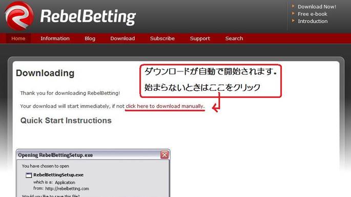 RebelBetting>マニュアルダウンロードの説明